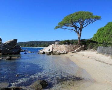 aller en Corse cet été