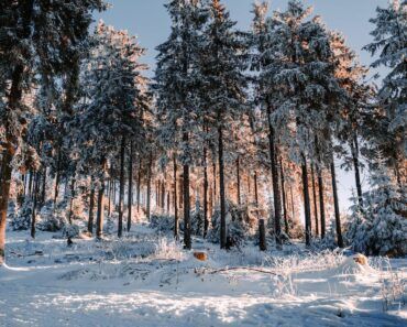 Sac de couchage grand froid 1